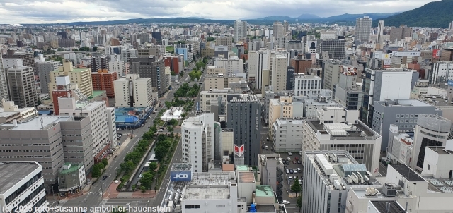 aussicht auf sapporo und den odori park vom TV tower
