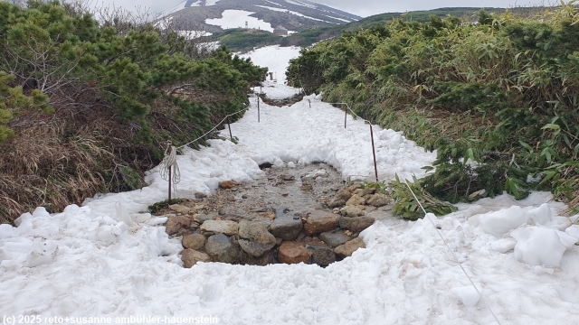 schneebedeckter asahidake trail
