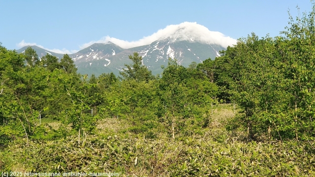 blick vom furepe-no-taki trail im shiretoko nationalpark auf den mount rausu