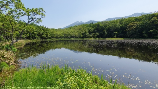 goko lake (5th lake) entlang des goko lakes trail im shiretoko nationalpark