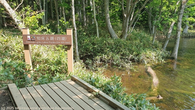 yonko lake (4th lake) entlang des goko lakes trail im shiretoko nationalpark