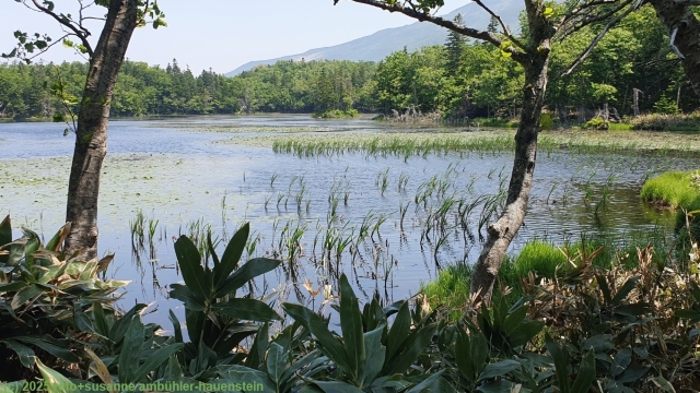sanko lake (3rd lake) entlang des goko lakes trail im shiretoko nationalpark