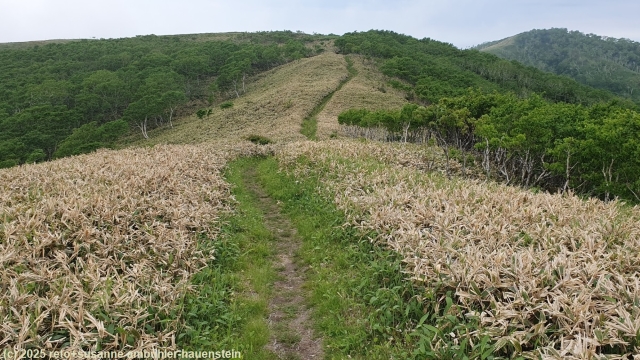 mount mashu trail ueber offenes gelaende im akan-mashu nationalpark
