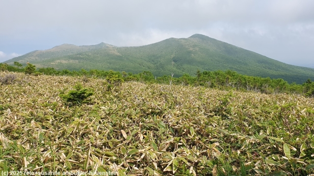 blick vom mount mashu trail richtung mount nishibetsu im akan-mashu nationalpark