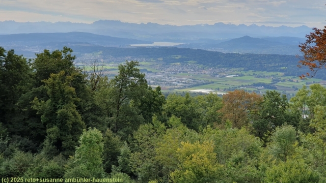 blick von den laegern richtung zuerichsee