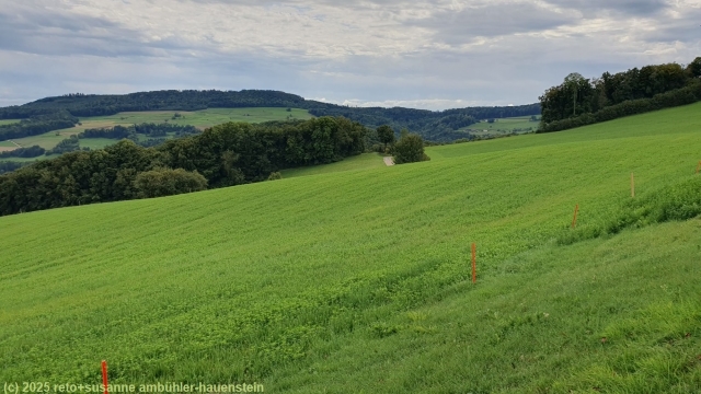 wenig verbaute landschaft bei chillholz zwischen linn und der staffelegg
