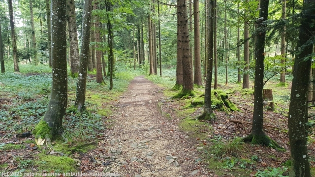 aufstieg zur geissflue