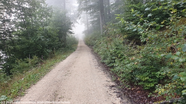 aufstieg im nebel richtung schwengimatt