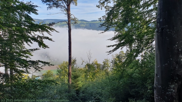 blick aufs nebelmeer ueber balsthal waehrend dem aufstieg richtung schwengimatt