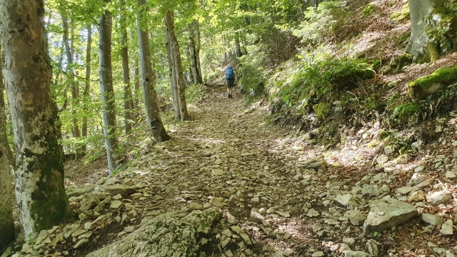 aufstieg richtung gschliff