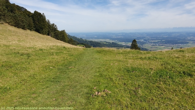 wanderweg ueber die kuppe beim niederwiler stierenberg