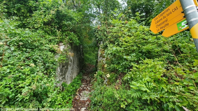 einstieg zum aufstieg richtung chasseral im verlauf des jura-hoehenweg bei frinvillier
