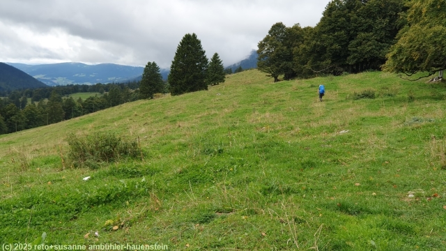 schoener wanderweg durch weideland bei pre carrel