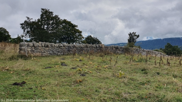 erste trockensteinmauer im verlauf unserer wanderung ueber den jura-hoehenweg