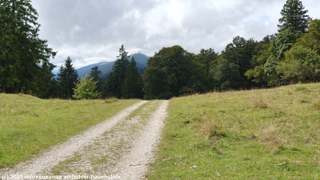 erster blick auf den chasseral waehrend der wanderung richtung les colisses du haut