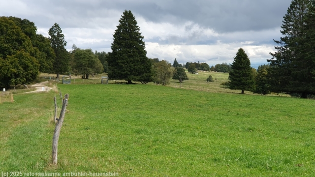 wanderweg richtung les colisses du haut