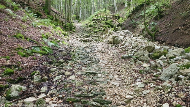 holpriger wanderweg bei combe boisse
