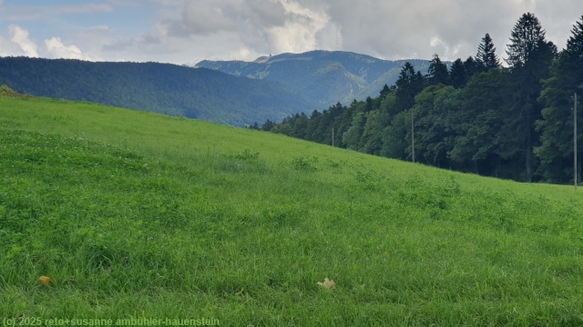 blick zurueck vom val de ruz auf den chasseral
