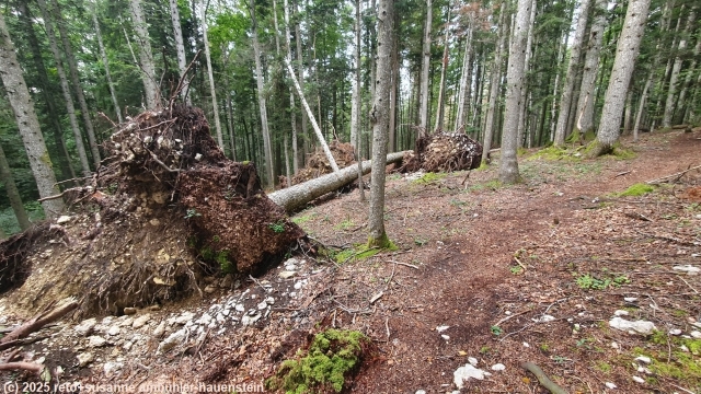 sturmschaeden bei combe hory