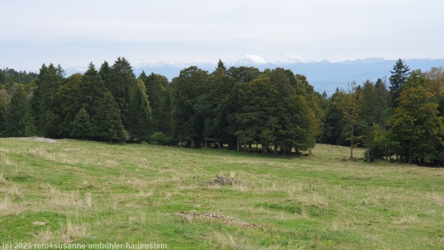 blick von les coteaux richtung alpen
