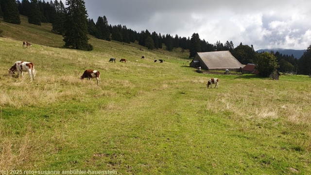 alpweid bei la calame