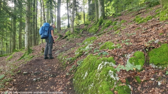 steiler aufstieg zum mont de baulmes
