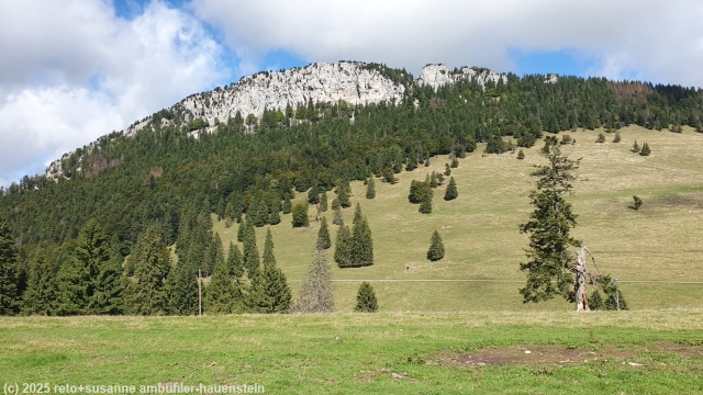 blick von la combette auf das suedwestliche ende des aiguilles de baulmes