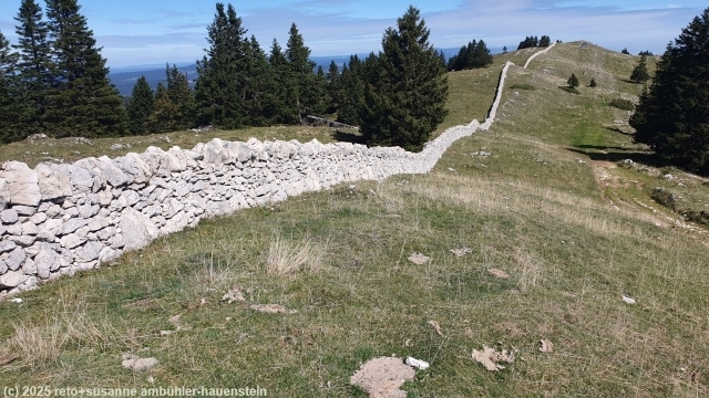 trockensteinmauer entlang des aufstiegs zum gipfel des mont tendre
