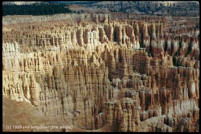 [ blick in den canyon ]